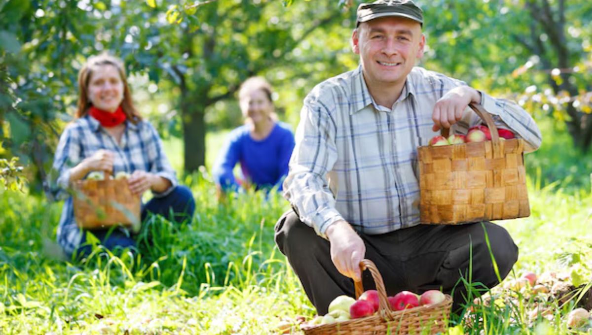 Fruit Picker Jobs in Canada 2025