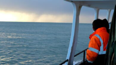 Marine and Shipping Jobs in New Zealand
