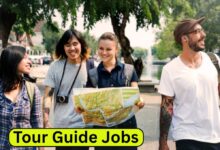 Tour Guide Jobs in New Zealand – Salary, Opportunities, and Career Growth