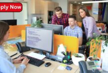 Web Developer Jobs in New Zealand: What You Need to Know