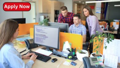 Web Developer Jobs in New Zealand: What You Need to Know