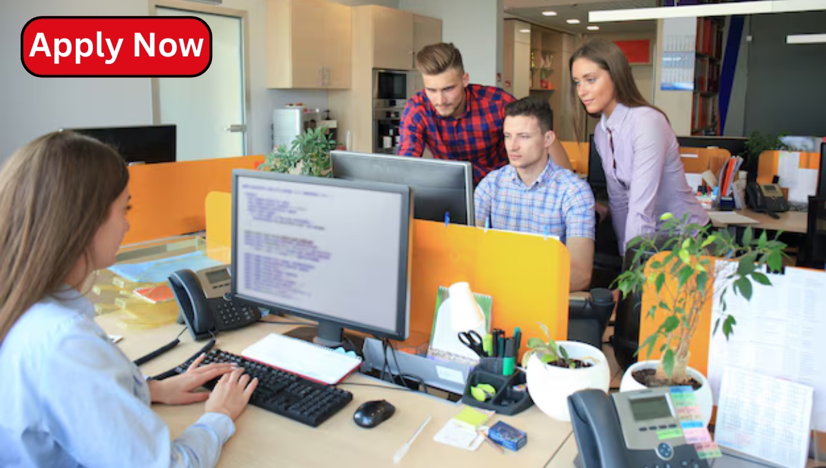 Web Developer Jobs in New Zealand: What You Need to Know