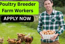 Poultry Breeder Farm Workers – Part-Time Job in Franklin, Auckland