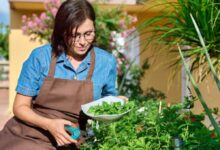 Gardener Job in Australia