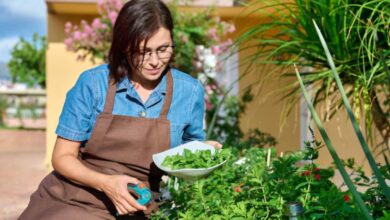 Gardener Job in Australia