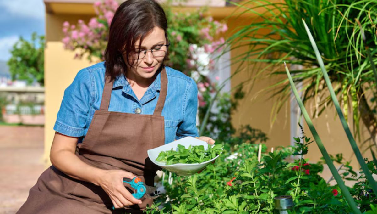 Gardener Job in Australia